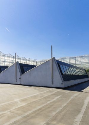 Brussels , 07/05/2018
On the roof of Foodmet , the largest (4000 m2) urban aquaponic farm in Europe has been build . On a single roof, the Ferme Abattoir raises fish and produces fruit, vegetables and herbs in a totally natural way, without any addition of pesticides or chemical agents.
Pix : the Ferme Abattoir
Credit : Daina Le Lardic / Isopix
