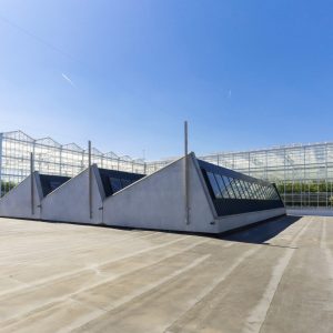 Foodmet – Urban Agriculture Brussels , 07/05/2018
On the roof of Foodmet , the largest (4000 m2) urban aquaponic farm in Europe has been build . On a single roof, the Ferme Abattoir raises fish and produces fruit, vegetables and herbs in a totally natural way, without any addition of pesticides or chemical agents.
Pix : the Ferme Abattoir
Credit : Daina Le Lardic / Isopix