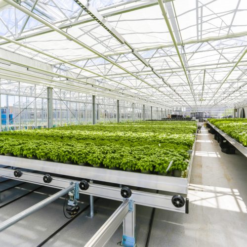 Foodmet - Urban Agriculture